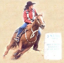 barrel racing quarter horse