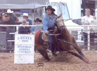 barrel racing stallion, Frostman San Peppy