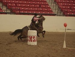 buckskin quarter horse stallion, Frostman San Peppy