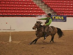 buckskin quarter horse stallion, Frostman San Peppy