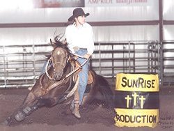 buckskin quarter horse stallion, Frostman San Peppy