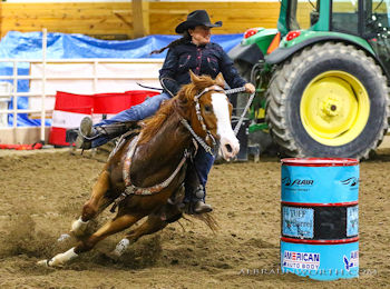 barrel racing quarter horse