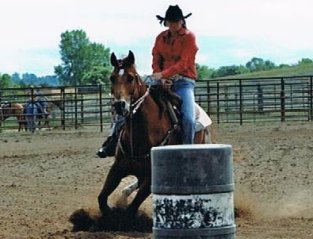 Frostmans Finesse, barrel racing quarter horse
