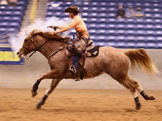 Oh Magnolias Jewel ~ Money Earning CMSA Horse